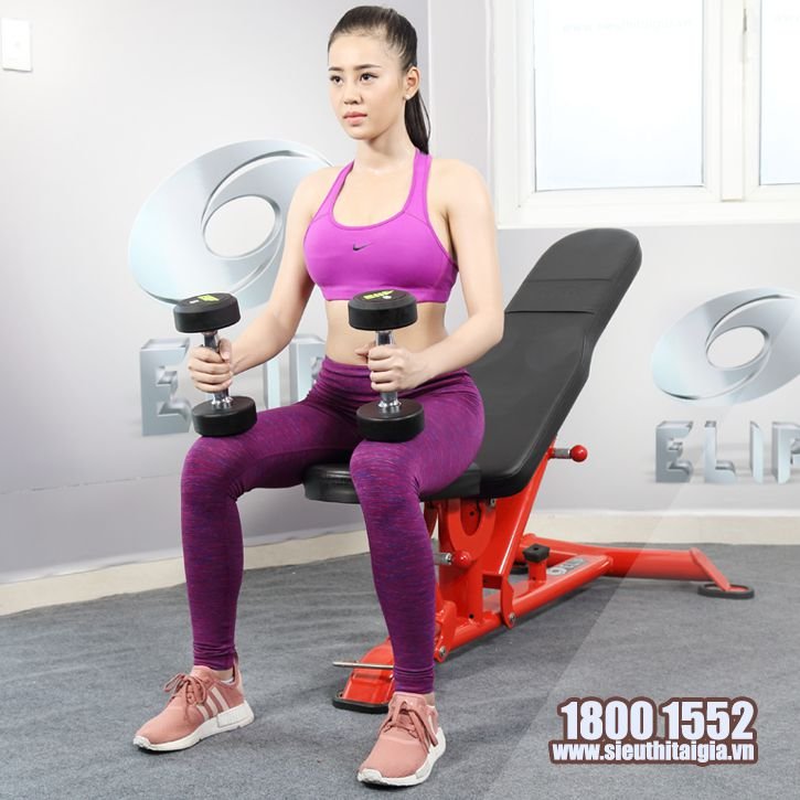 Ghế điều chỉnh đa góc Elip AC011