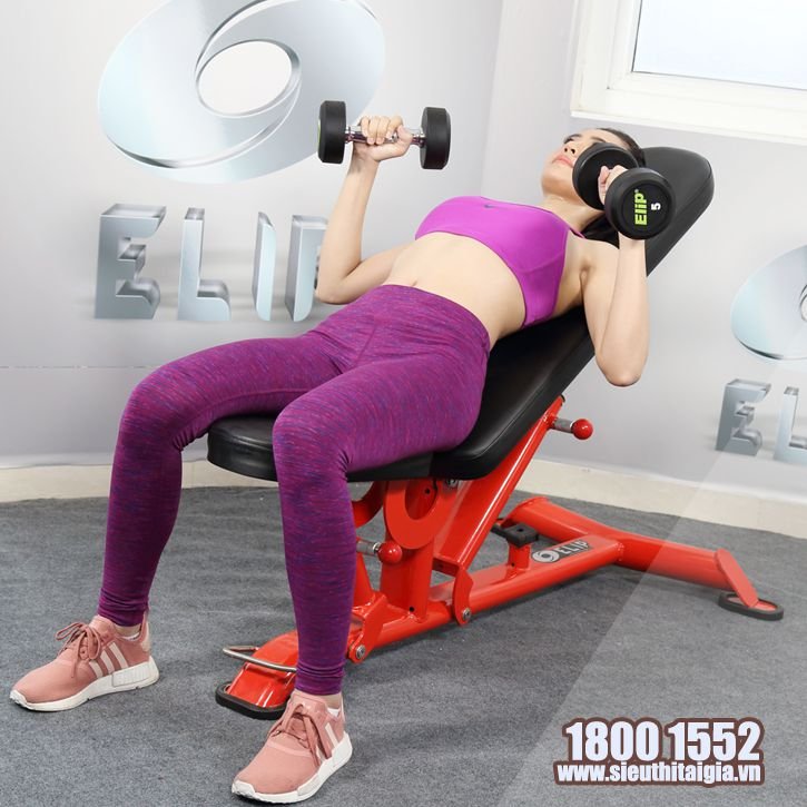 Ghế điều chỉnh đa góc Elip AC011