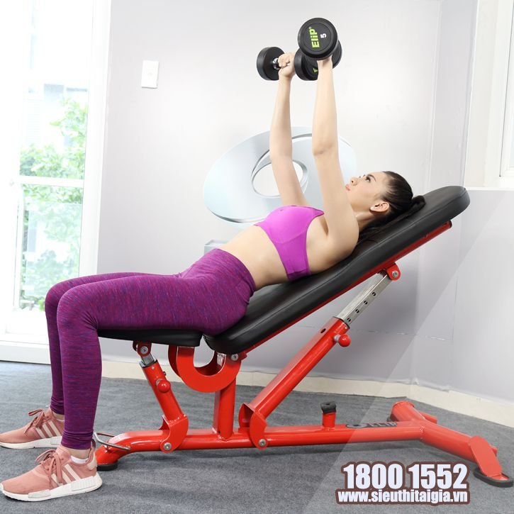 Ghế điều chỉnh đa góc Elip AC011