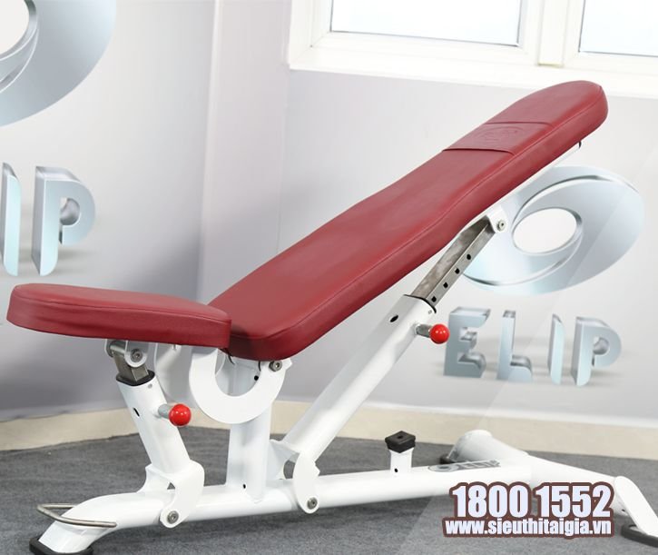 Ghế điều chỉnh đa góc Elip AC011