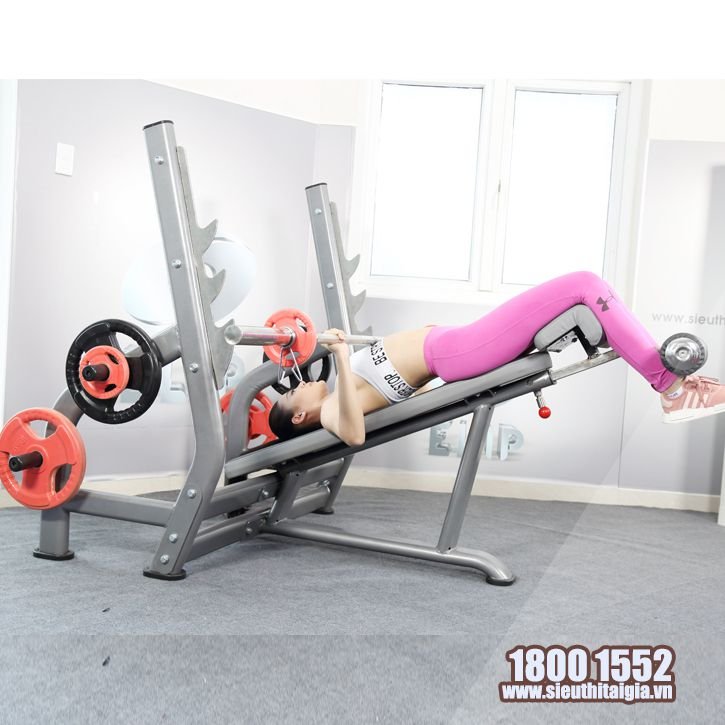 Ghế đẩy ngực dưới Elip YL29 New