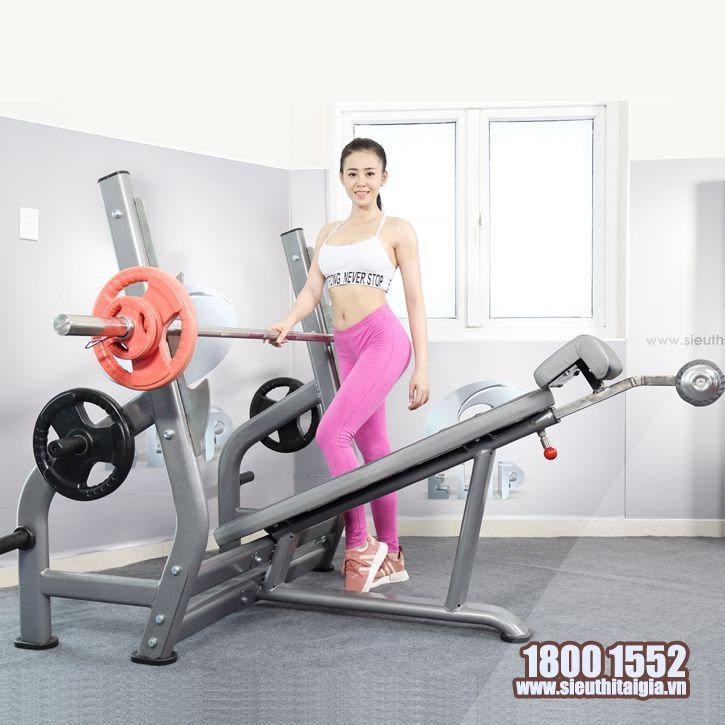 Ghế Đẩy Ngực Dưới ELIP AC016 - Elipsport.vn