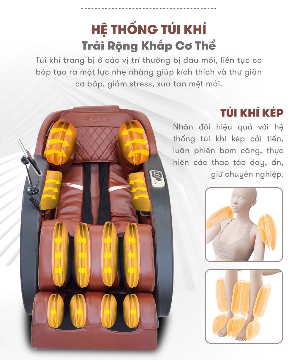 ELIP Nova (Trưng Bày)7