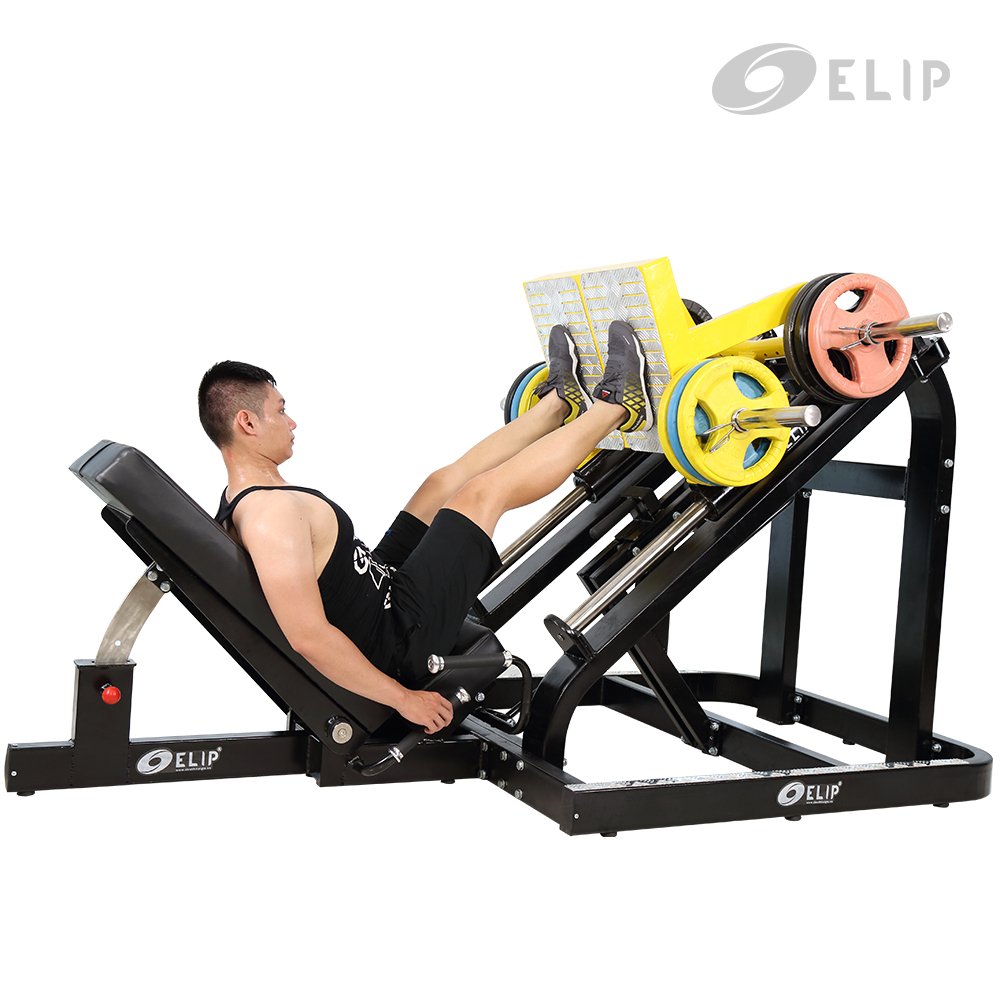 Máy đạp đùi xiên Elip OLY213