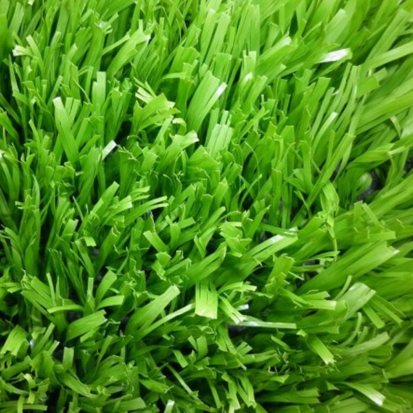 co nhan tao elip em50 1559812239 2