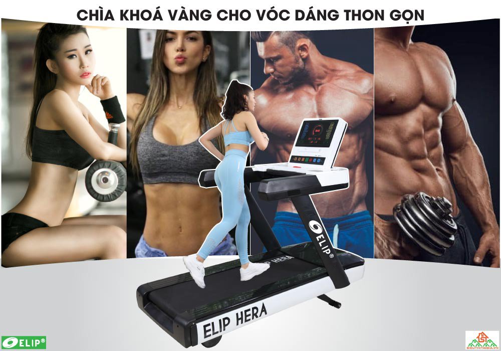Máy Chạy Bộ Gym ELIP Hera Đơn Năng