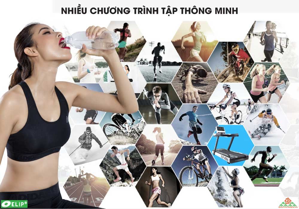 Máy Chạy Bộ Gym ELIP Hera Đơn Năng