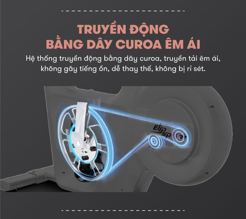 elip pasteur white 5