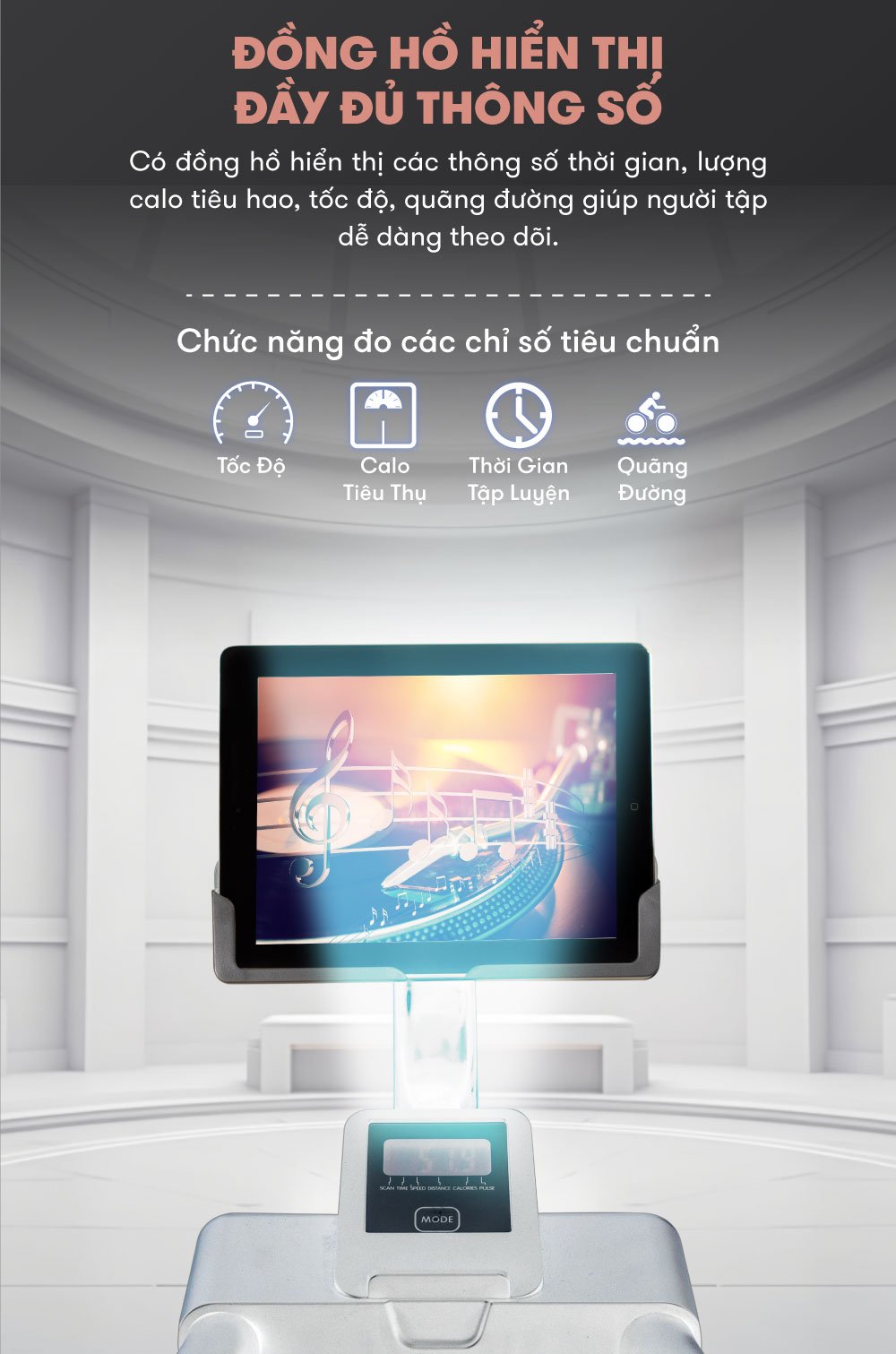 elip pasteur white 6