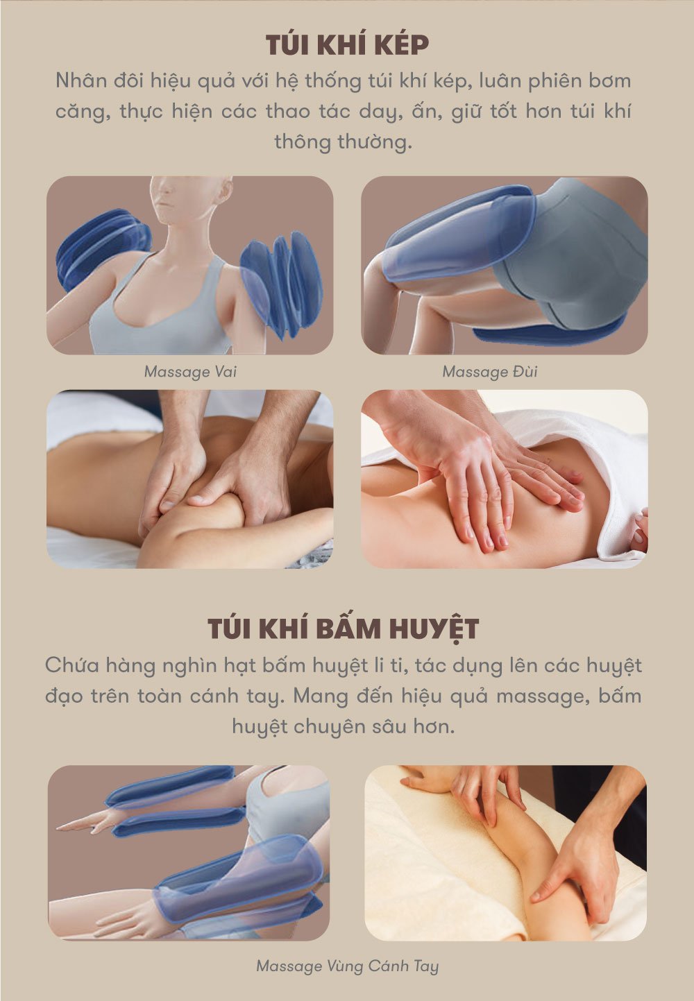 ELIP Lion - Brown Trưng bày túi khí kép