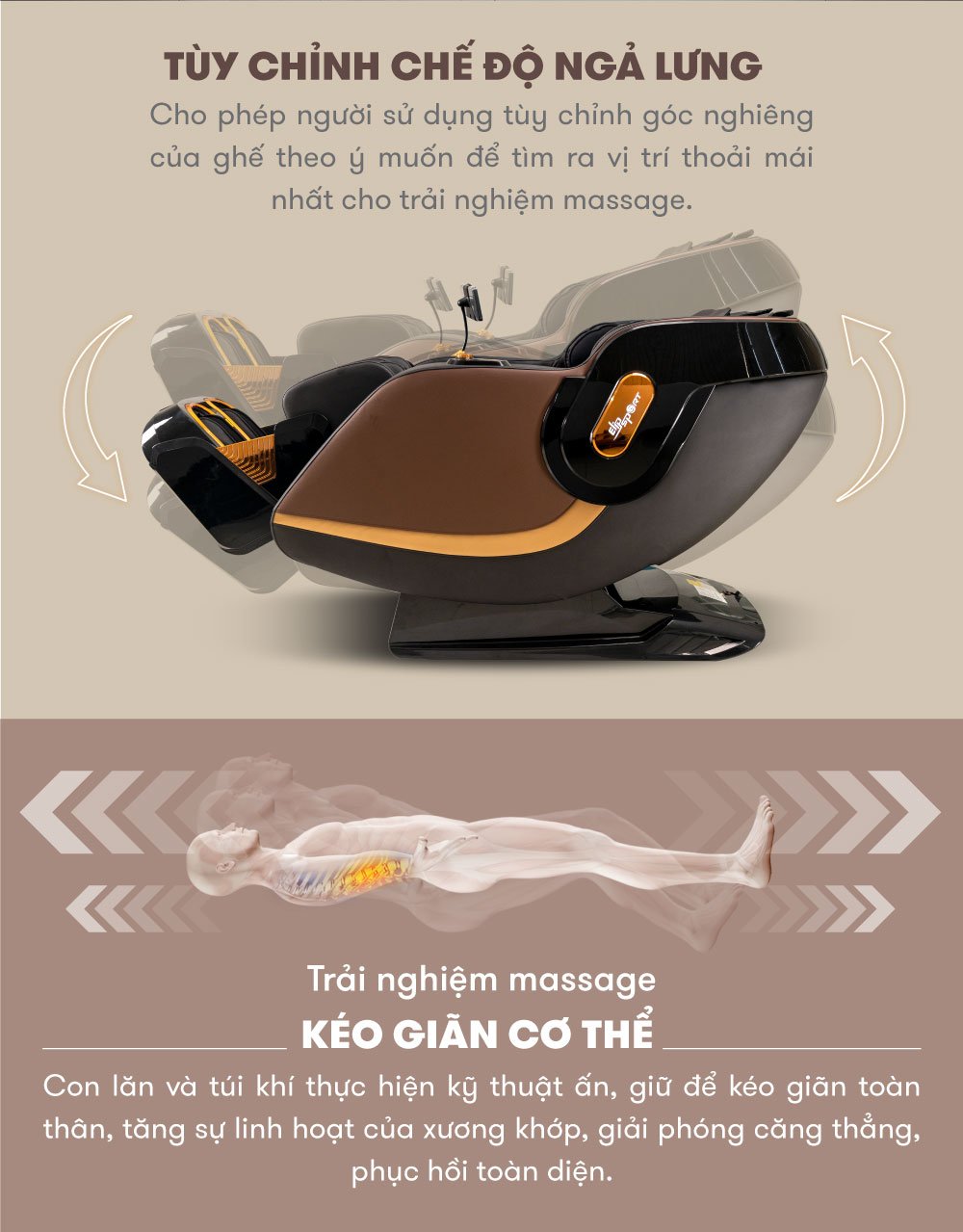 ELIP Lion - Brown Trưng bày tùy chỉnh ngã lưng