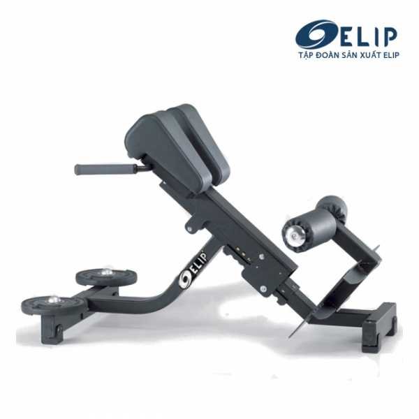 Ghế tập lưng ELIP OLY102