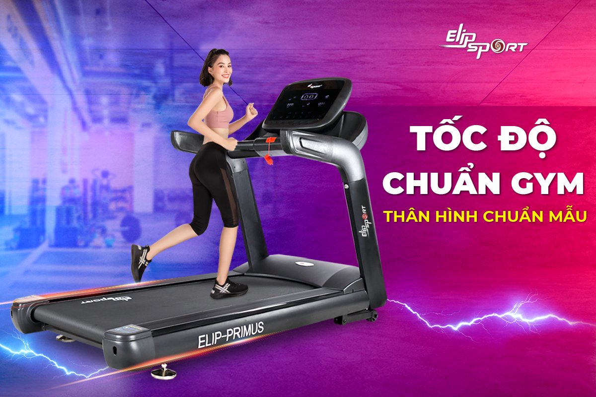 may-chay-bo-dien-elip-primus-11