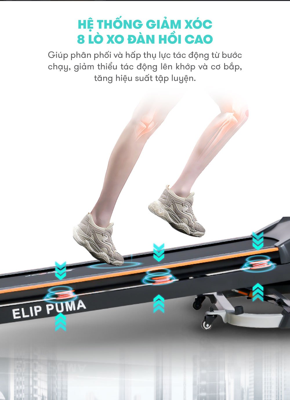 may chay bo elip puma 7