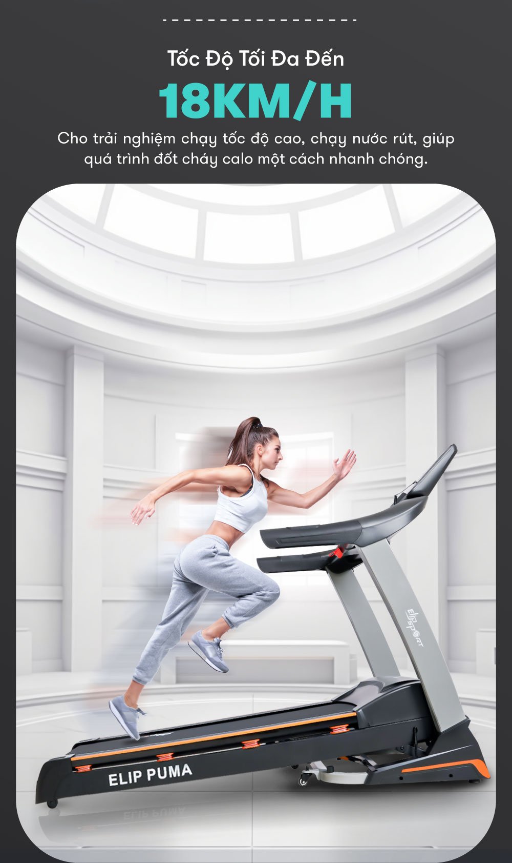 may chay bo puma fix t9