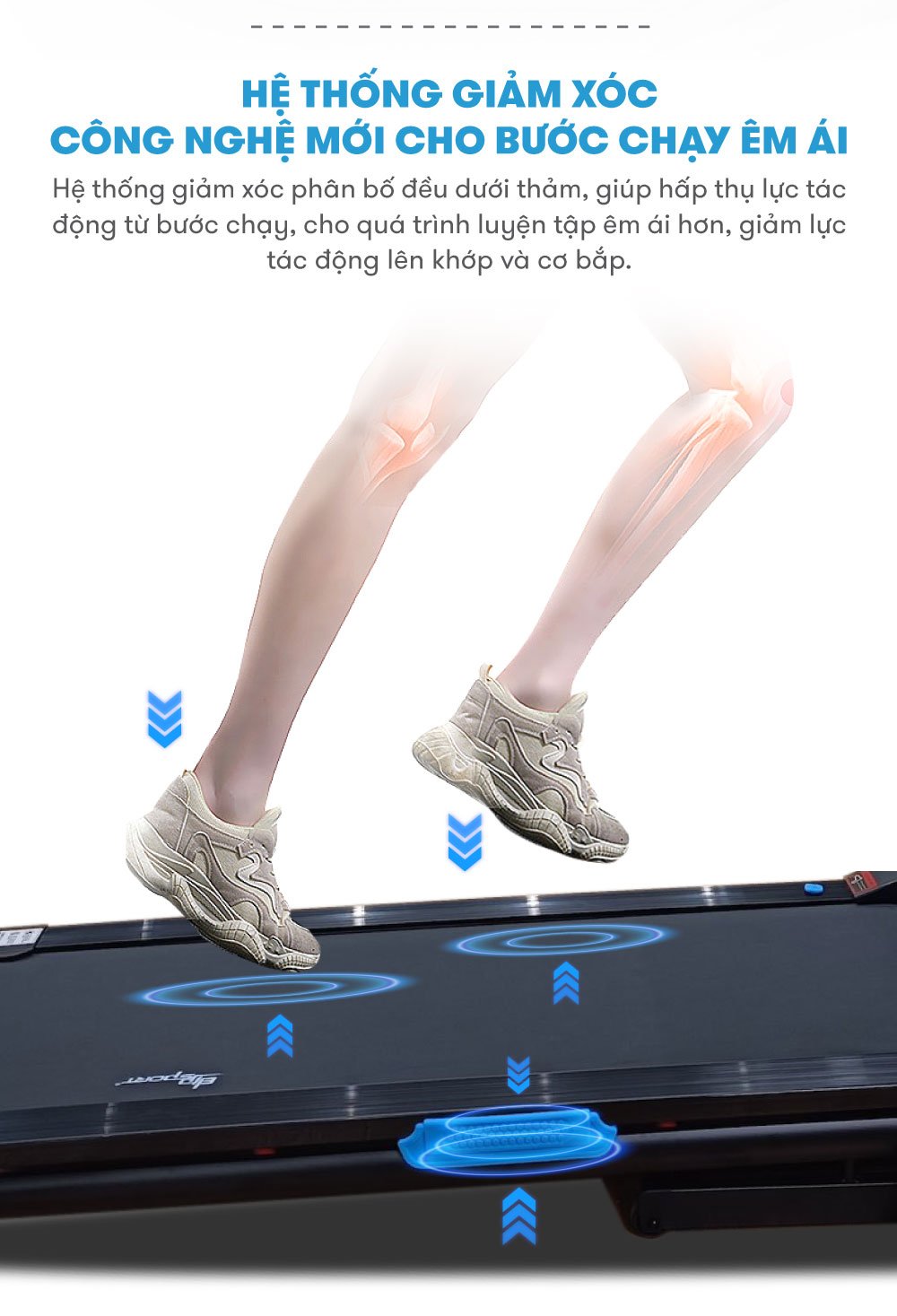 máy chạy bộ elip q8