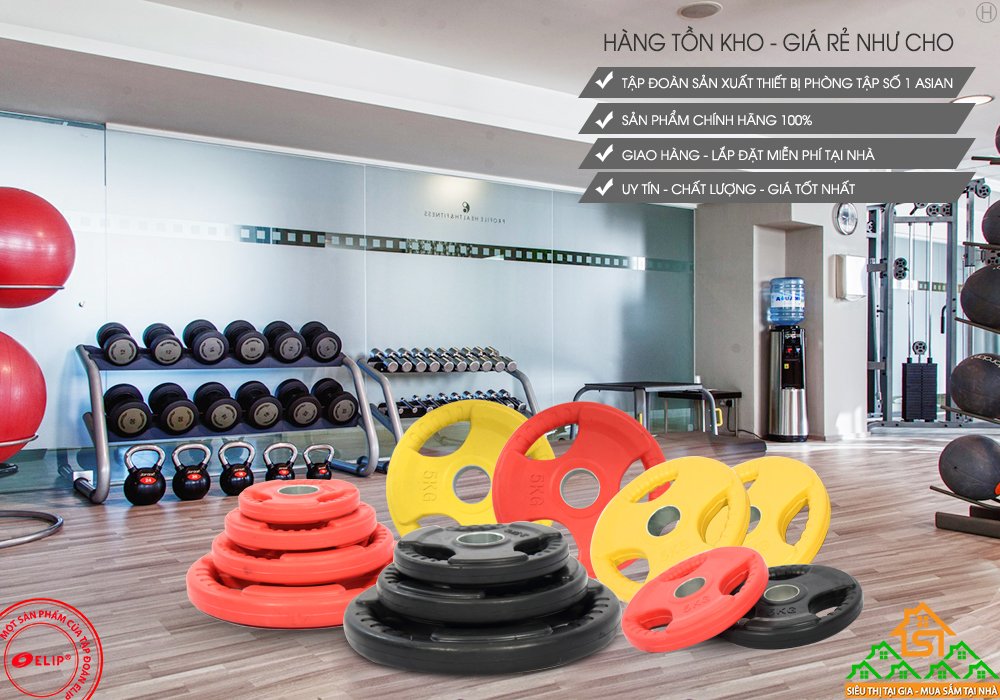 Tạ miếng cao su ELIP Gym phi 50(55.000đ/1Kg)