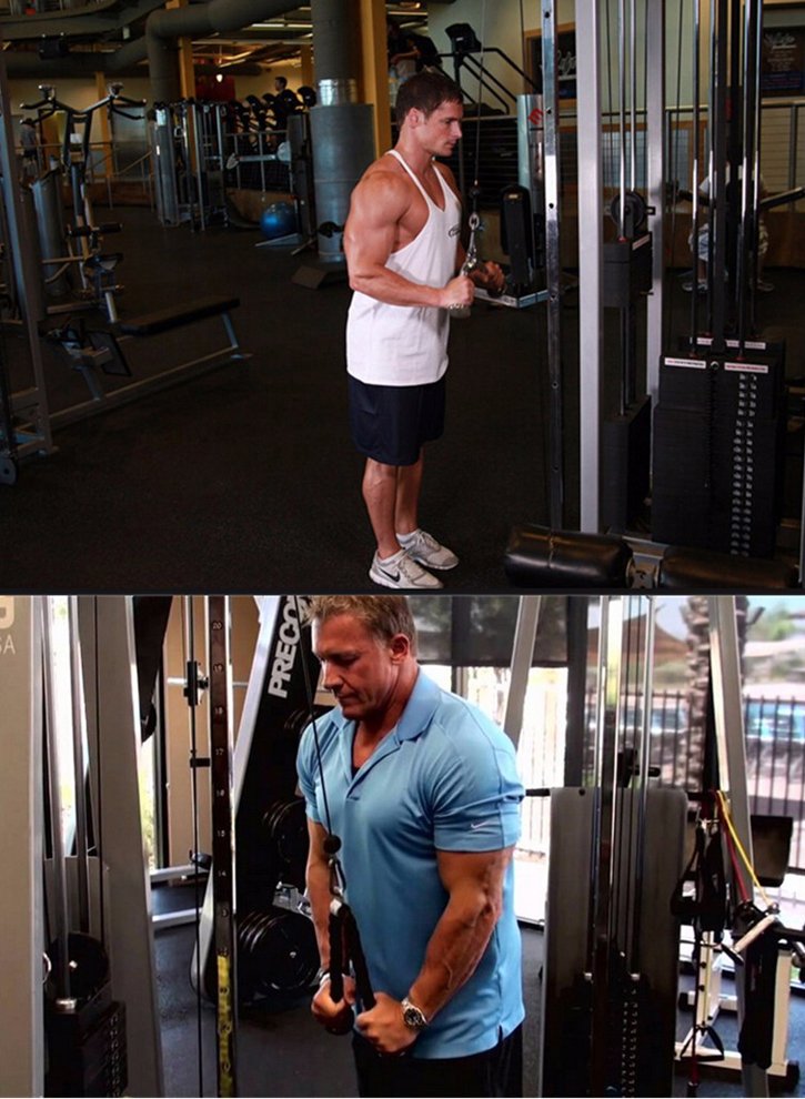 Dây thừng tập Gym Elip 17 Dây Thừng Tập Gym ELIP - Elipsport.vn