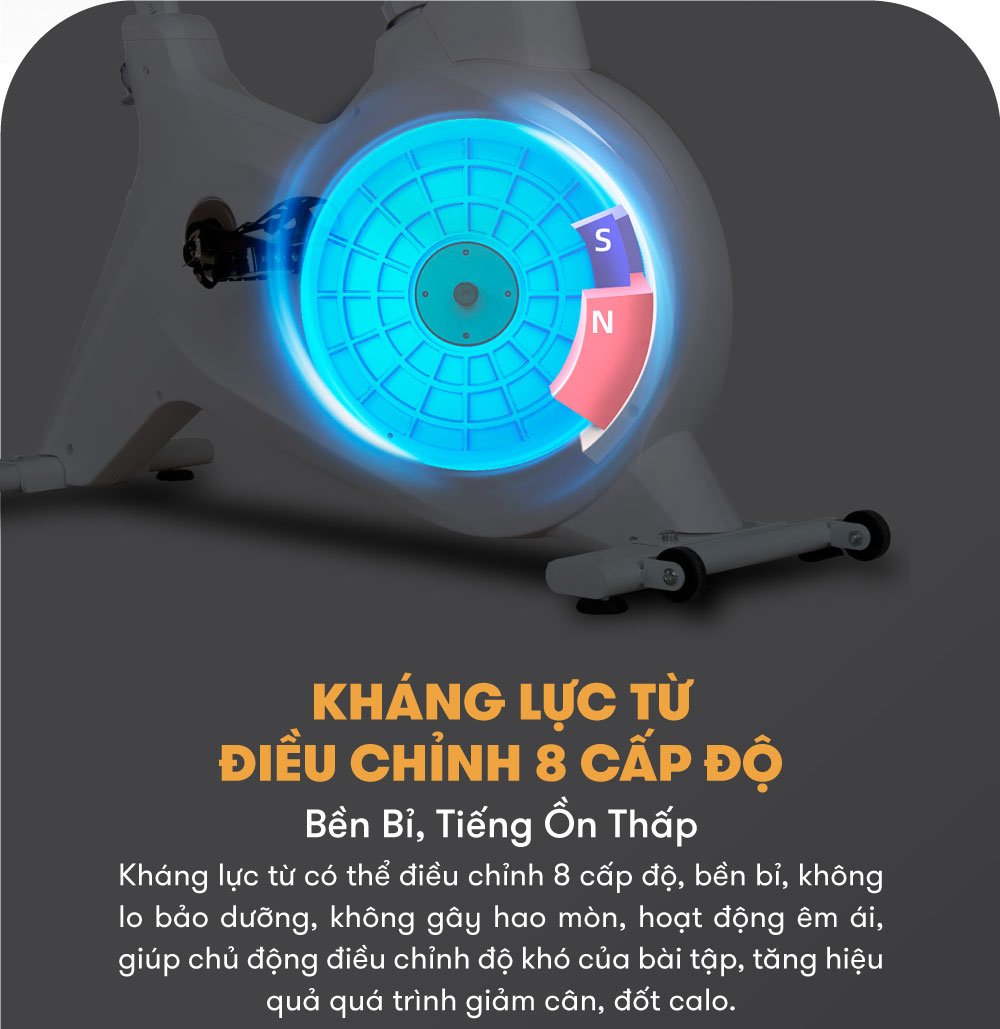 xe dap tap alexander white 3