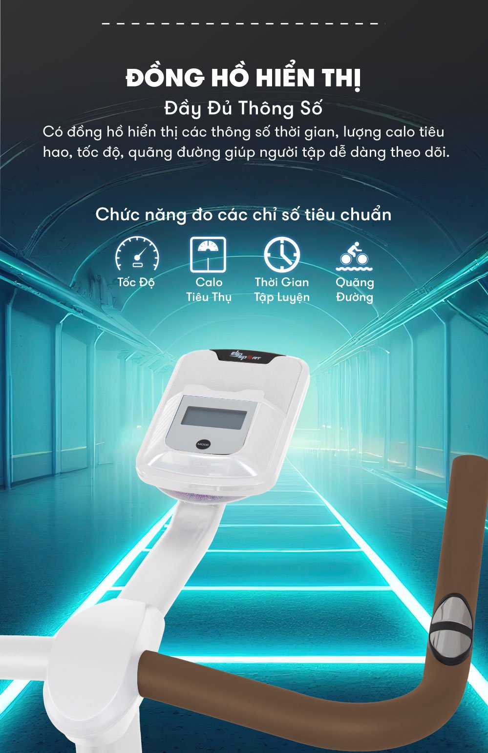 xe dap tap alexander white 6