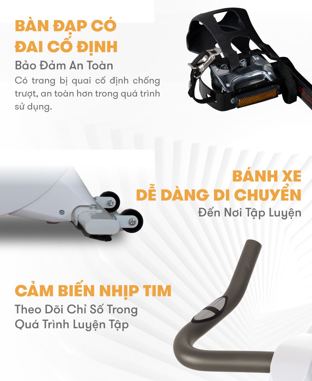 xe dap tap alexander white 8