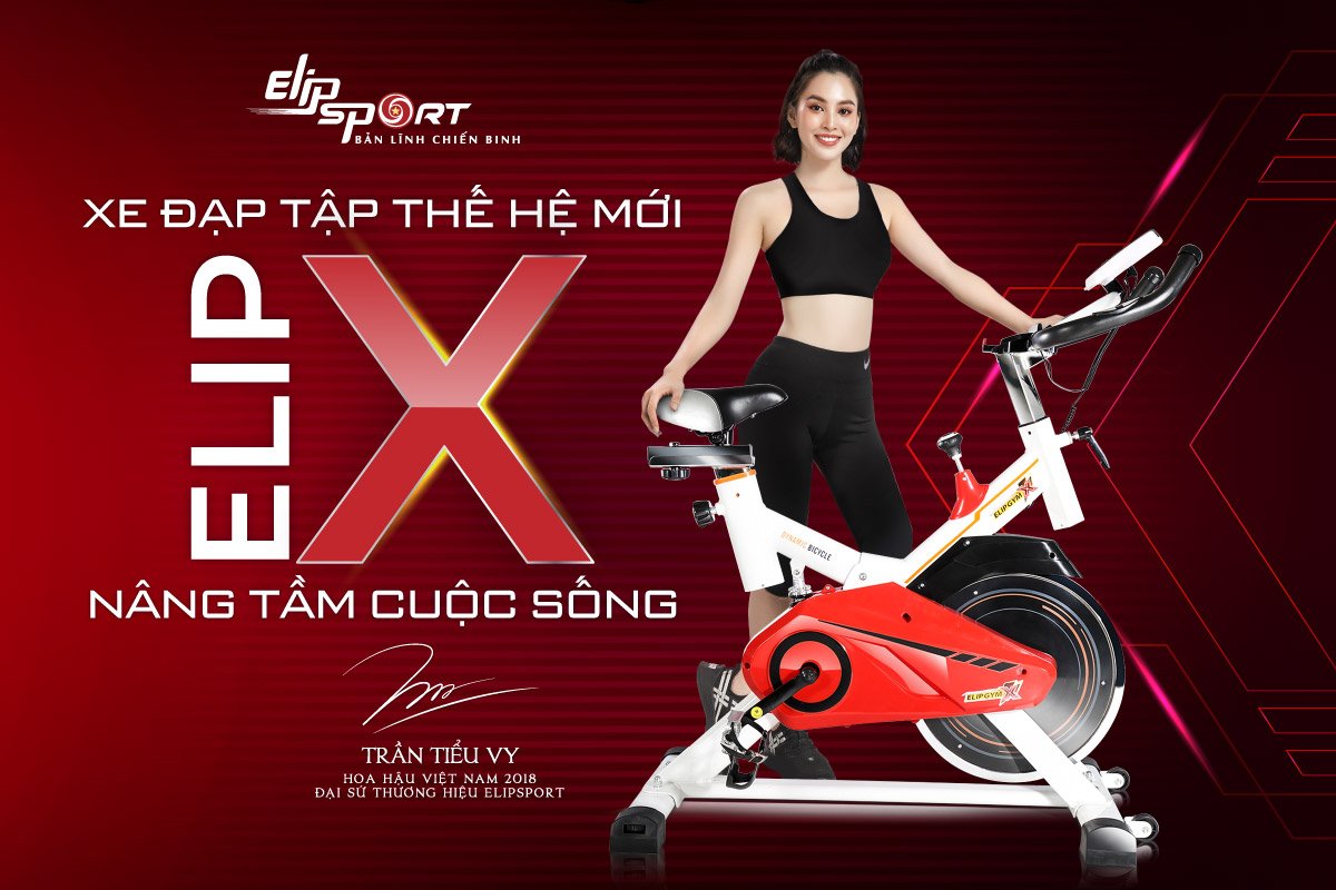 xe-dap-tap-elip-X-19