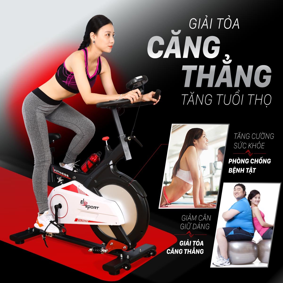 Xe đạp tập ELIP Everton