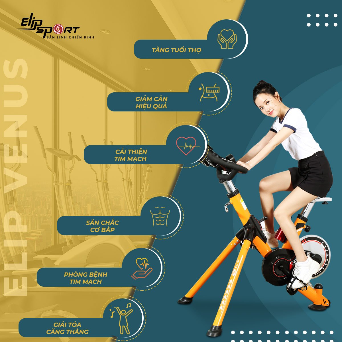 Xe đạp tập ELIP Venus (Thanh Lý)